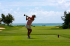 original pixabay golf