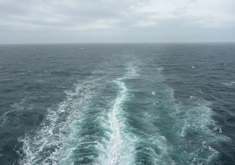 Bild von AIDAprima - Metropolen ab Hamburg